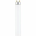 Westinghouse 17 watt T8 Linear 841 Fluorescent Light Bulb, Cool White5, 25PK 745100